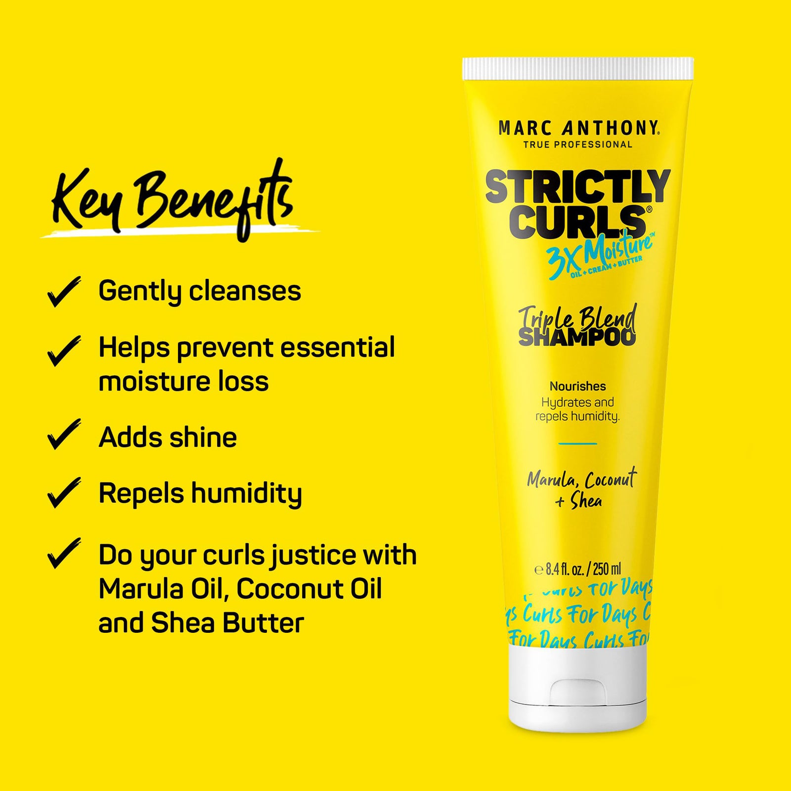Strictly Curls® 3X Moisture <br> Triple Blend Shampoo