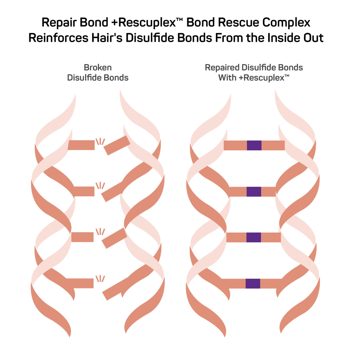 Repair Bond +Rescuplex™ &lt;br&gt; Hydrating Mask